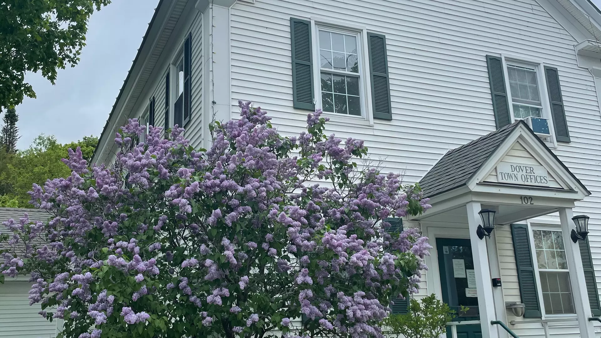 spring 8